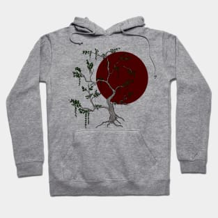 Light and shadow Hoodie